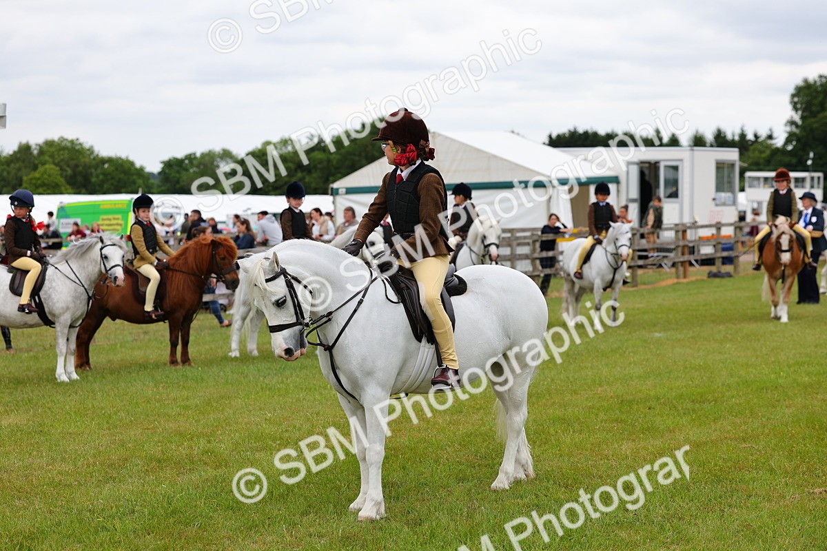 SBM_08730 - Class 42-43 - LIHS BSPS Heritage Working Sports Pony