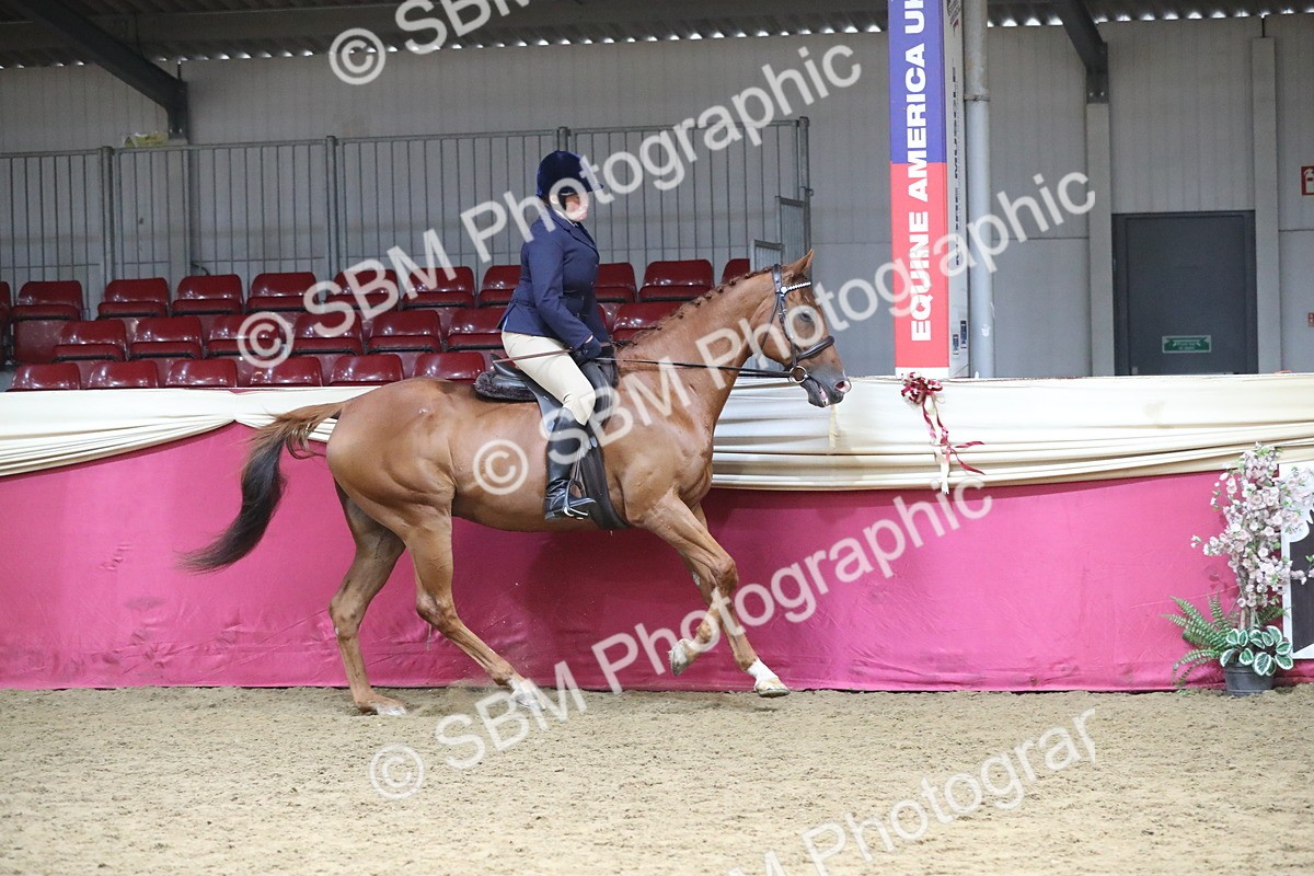 SBM_12320 - Class 108 Ridden Retired Racehorse- Pre Judging