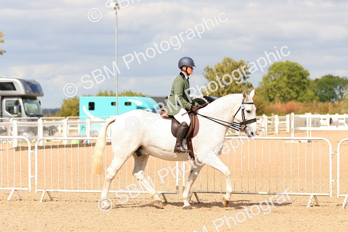 SBM_15483 - Class 214 - Ridden Show Cob