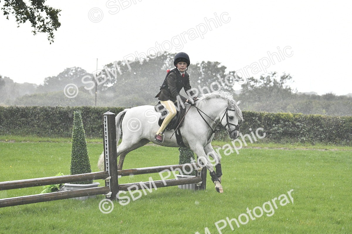 SBM_37125 - S31 - Novice & Newcomer Working Hunter Pony