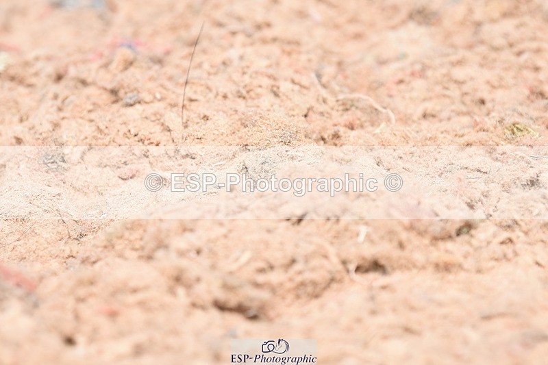 230702A-141214-10546 - Cls 5,6+7 Novice 27+30, Elementary 44