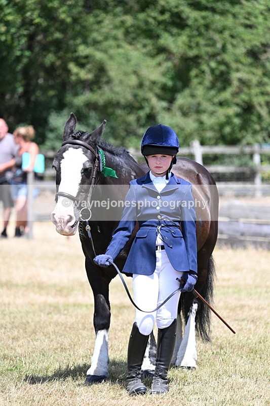 WJ7_2273 - Class 5 Most Handsome Gelding (up to 14.2hh) in hand