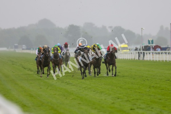 140723-Race 5-Monte Linas-8597 - Race 5 4.25pm Coopers Marquees Handicap