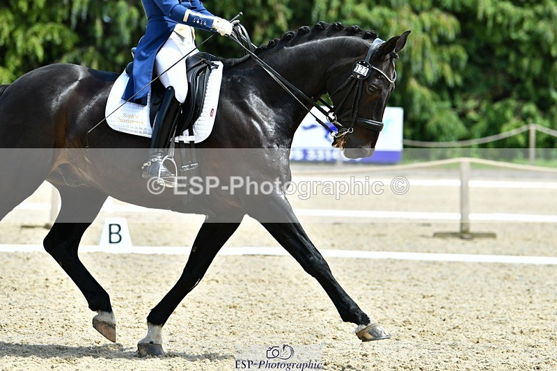 230623-141437-02487 - Cls 12 FEI Intermediate I