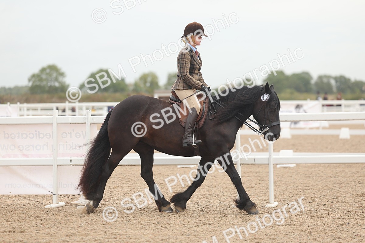 SBM_01861 - Class 14 - Ridden M&M Wildcard