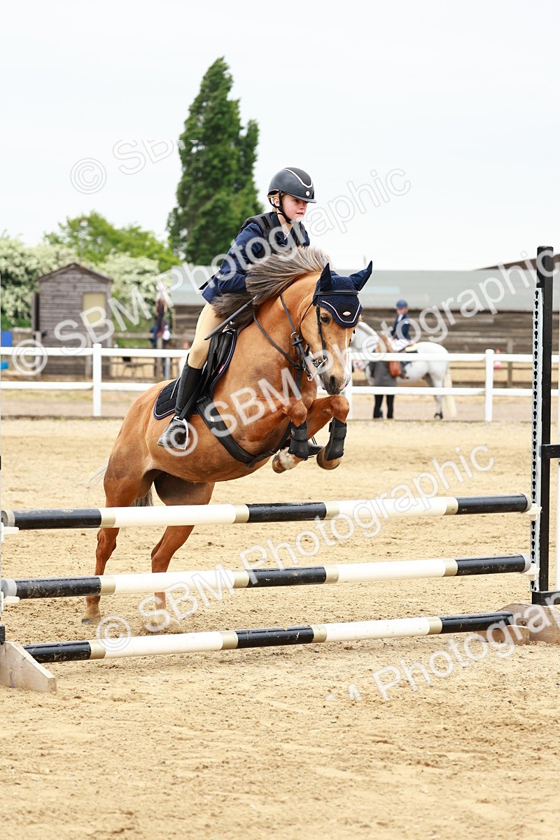 SBM_009102 - Class 5 - 80cm