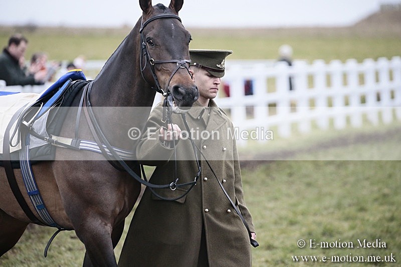 PtP 180218 26 - Combined Services Point-to-Point Larkhill 18/02/18