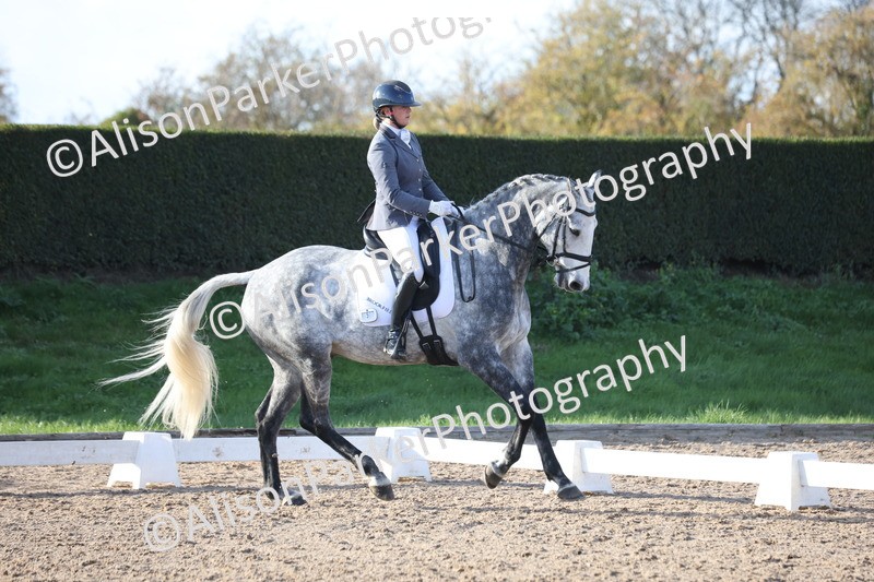 20251102-1176 - Class 6 - Elementary 6