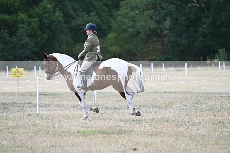 WJ7_7328 - Class 14 Ridden Coloured