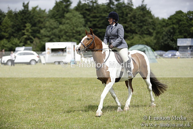 BVR160717-1923 - Ring 1 BVRC Show 16/07/17