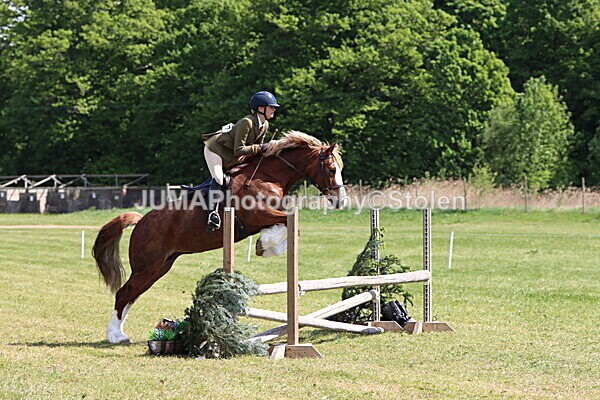 IMG_4328 - Working Hunter