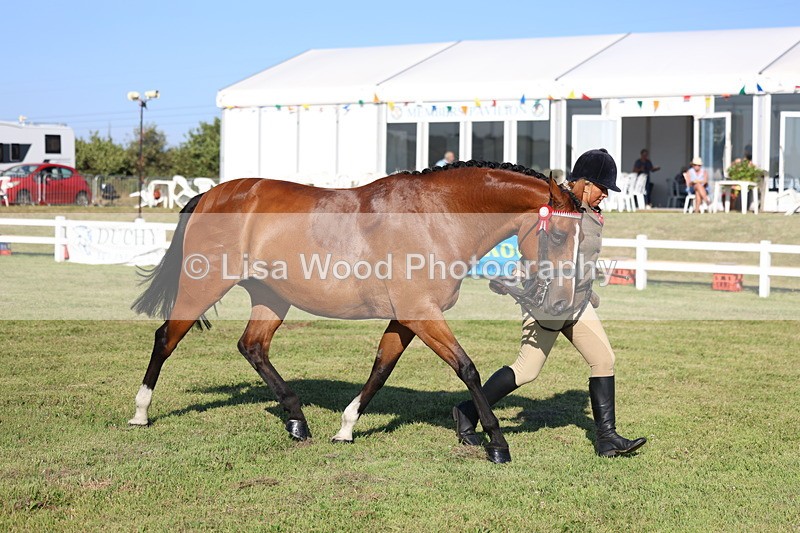 3E7A5129 - Class 1: Rising Star Small Hack/Riding Horses