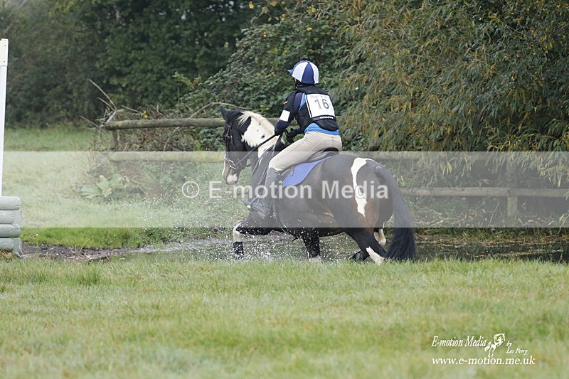 WWHT 171021 0449 - Novice Restricted (0.80m)  17/10/21