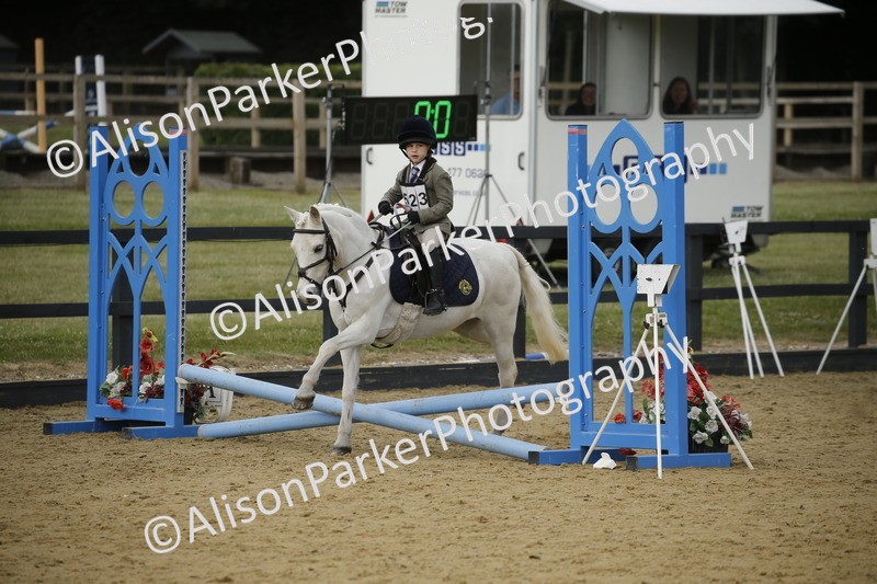 20250622-1455 - 40cm