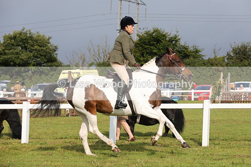 1X9A2922 - Class 25: Ridden Plaited Coloured Horse