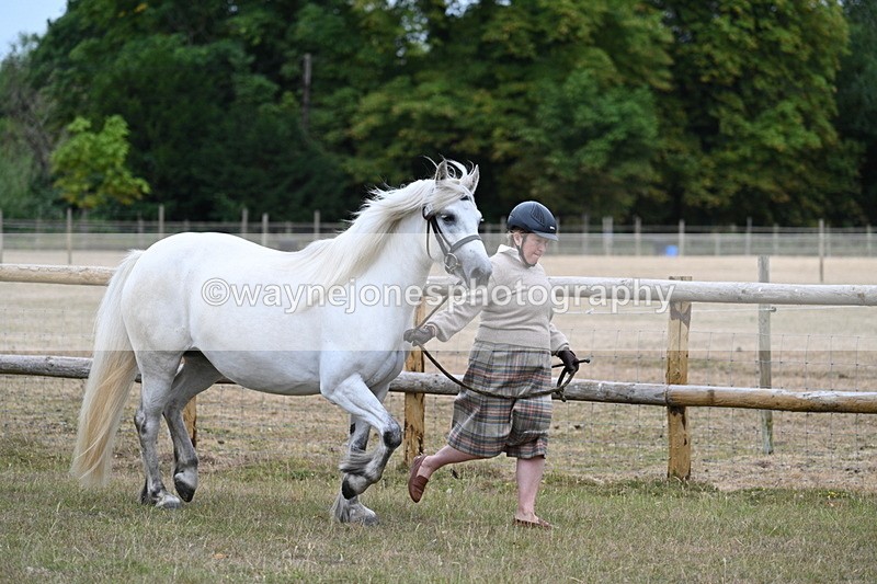 WJ7_8697 - Class 4a Prettiest Mare 14.2hh and over