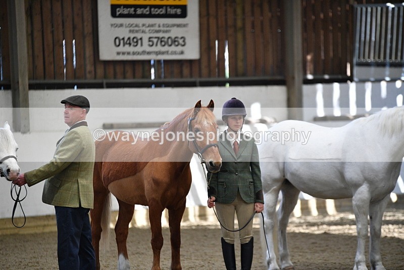 WJ5_3532 - Class 5 In Hand Veterans