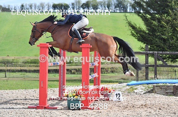 BPP_4288 - CLASS 8 FRI Senior Foxhunter/ 1.20m Open