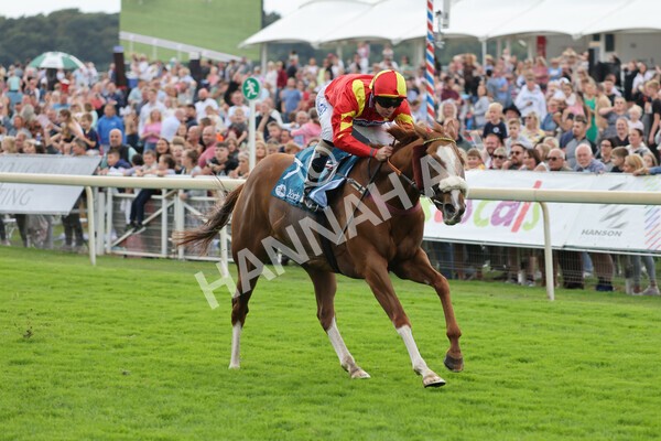 yr04092022r3-21 - Race 3 2.55pm The Elevator Company Garrowby Stakes