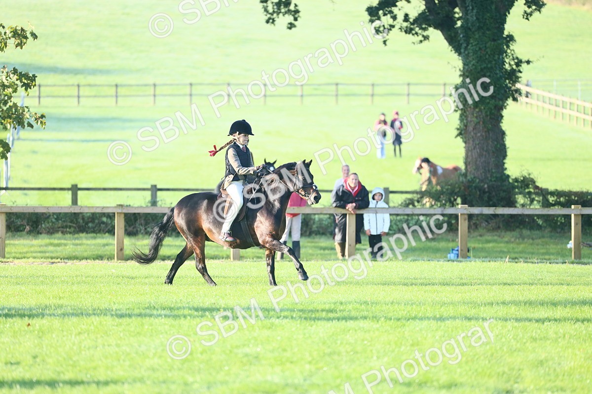 SBM_37321 - S29 - Novice & Newcomers Working Hunter Pony