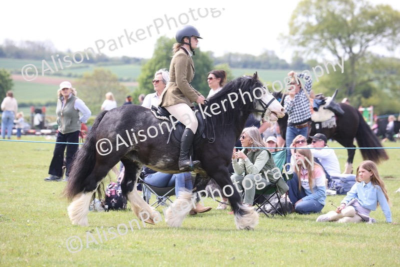 20260426-2920 - Class 33 - Best Pony 14.2hh and Under