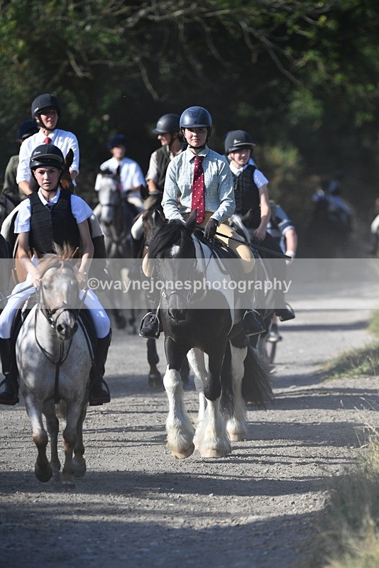 WJ5_4952 - Walk out with the hounds