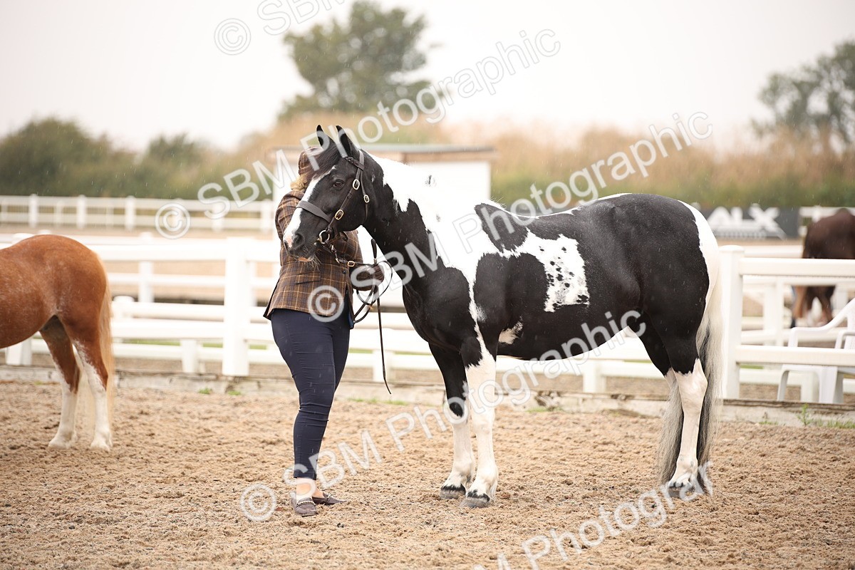 SBM_20195 - Class 703 - IH  Coloured