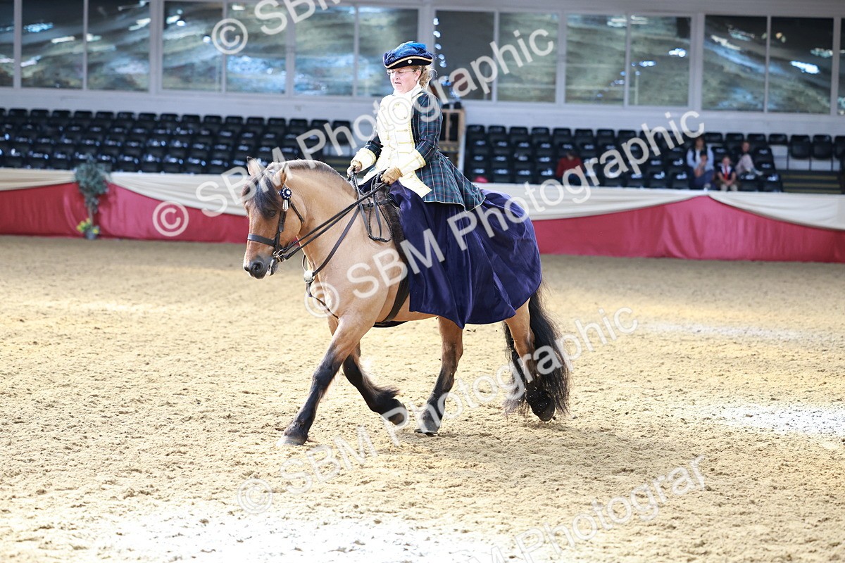 SBM_14766 - Class 107 - Ridden Costume - Astride Adult  (20+)