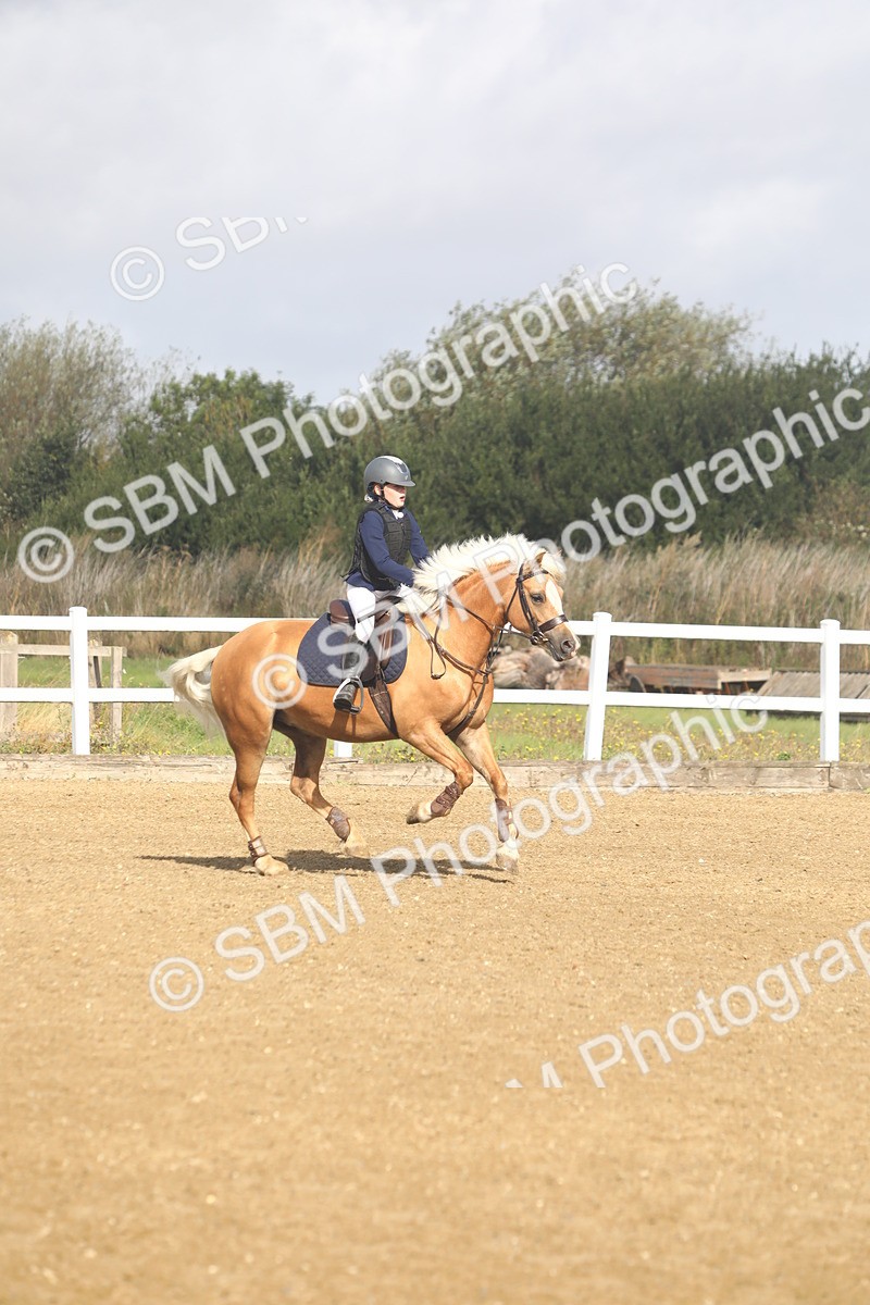 SBM_005311 - Class 4 - 50cm Champs