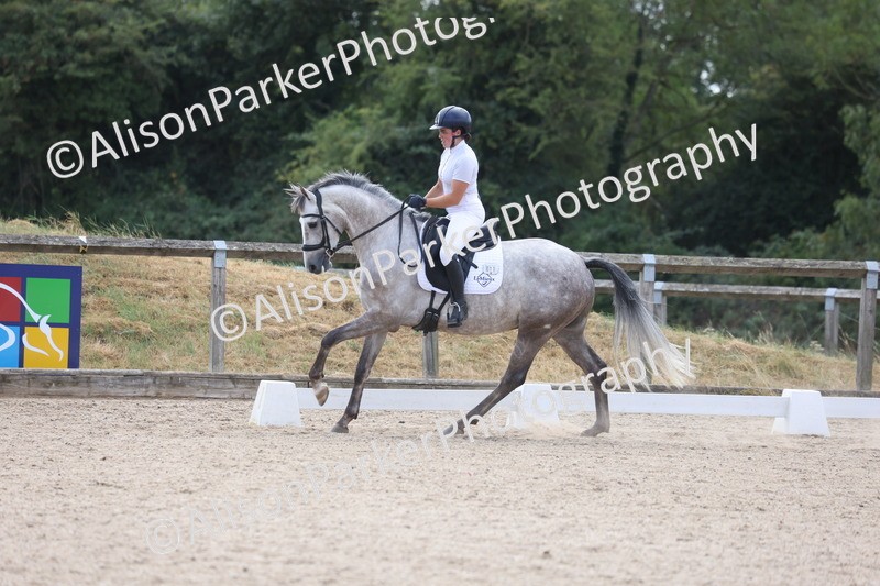 20260805-0705 - Class 5 - Novice 2
