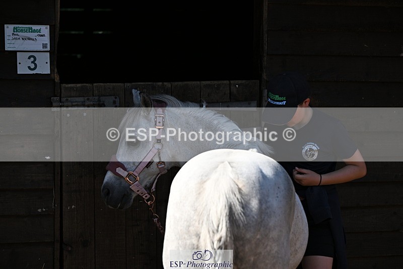 240729B-092048-01769 - Monday Stable Shots