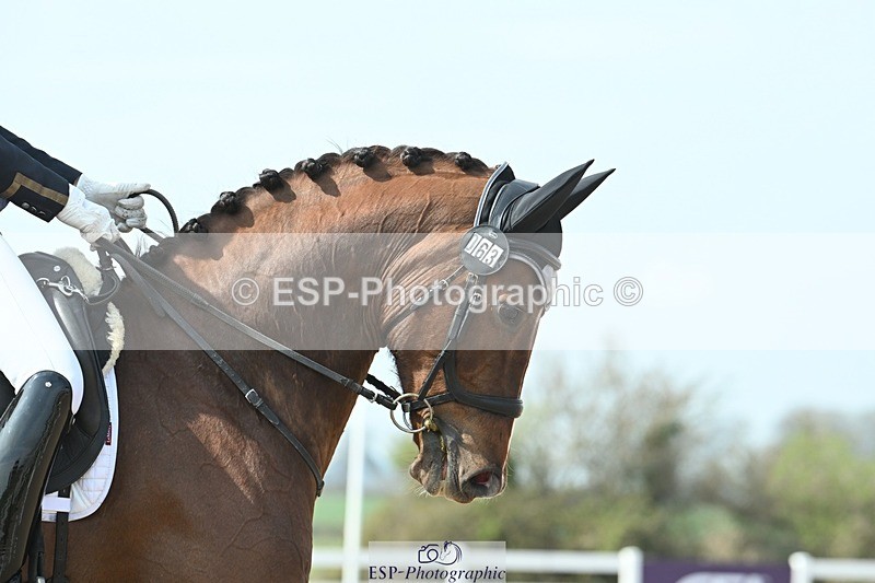 250403-125333-02465 - 063-Louise.Davison-Diagorus