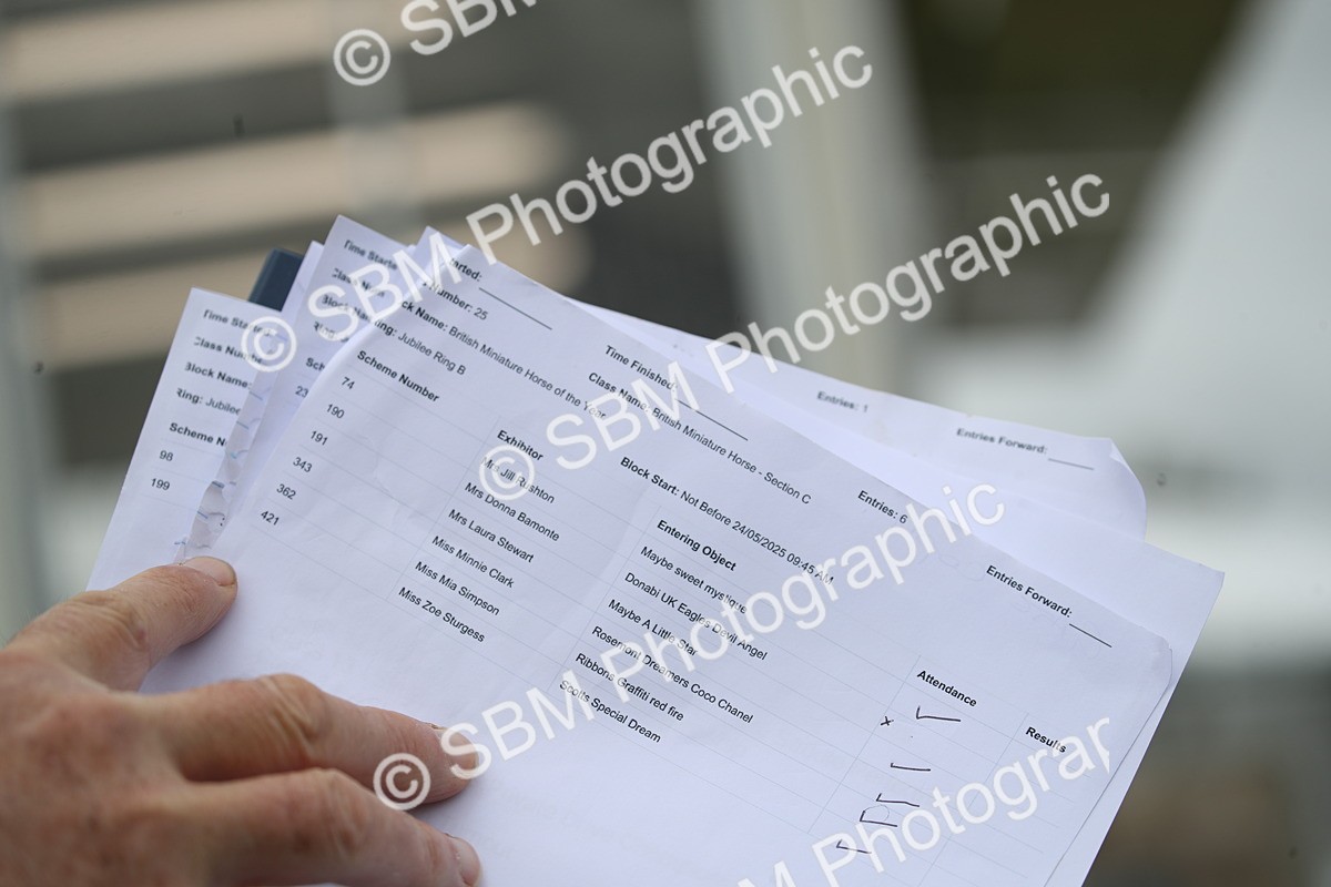 SBM_03490 - Class 23-25 - British Miniature Horse of the Year