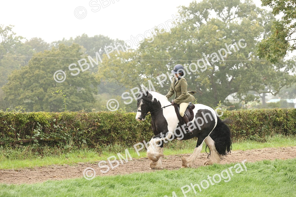 SBM_72732 - S70 - Traditional Cob Ridden