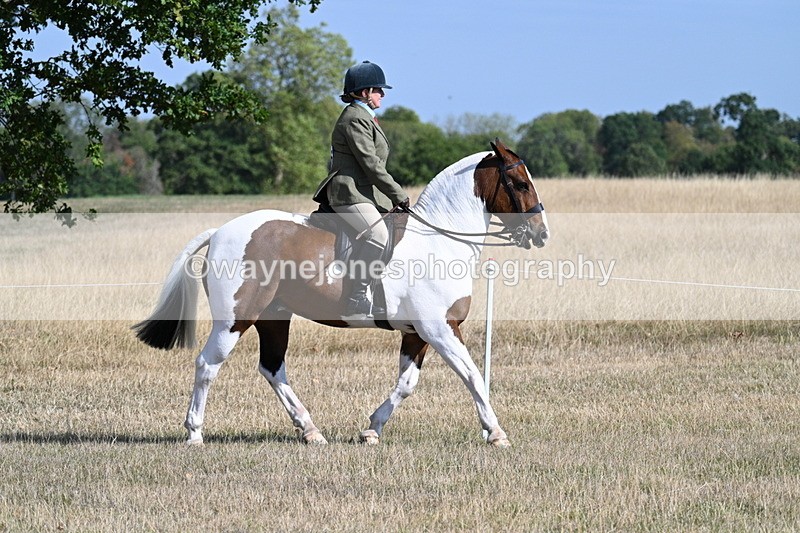 WJ7_2796 - Class 8 Ridden Tack & Turnout
