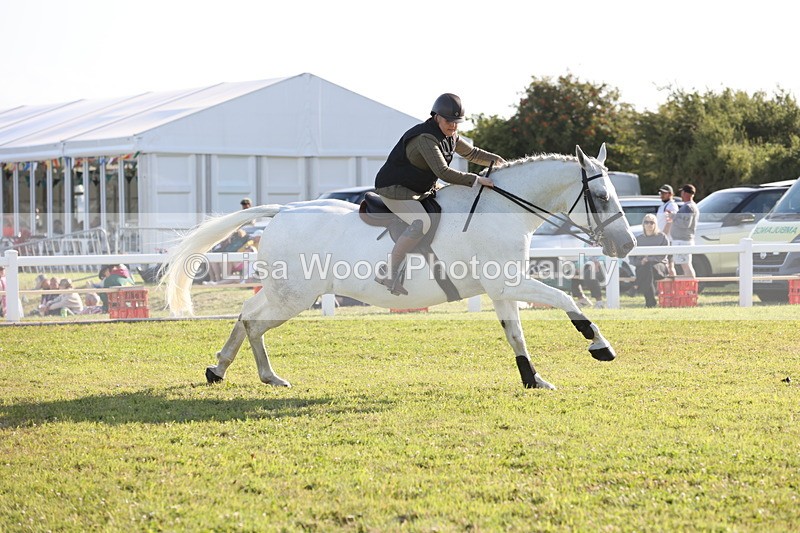 JPP_3357 - Class 22: Working Hunter 90cm