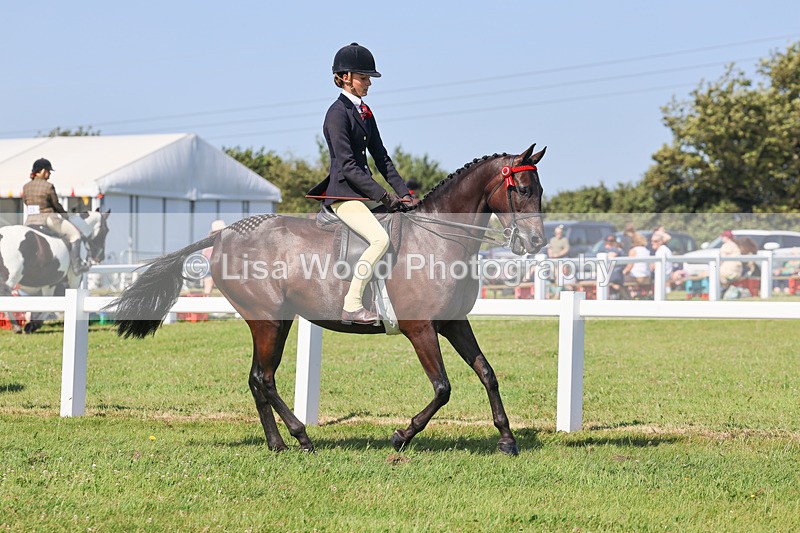 IMG_1888 - Class 33: Show Pony 148cm and under