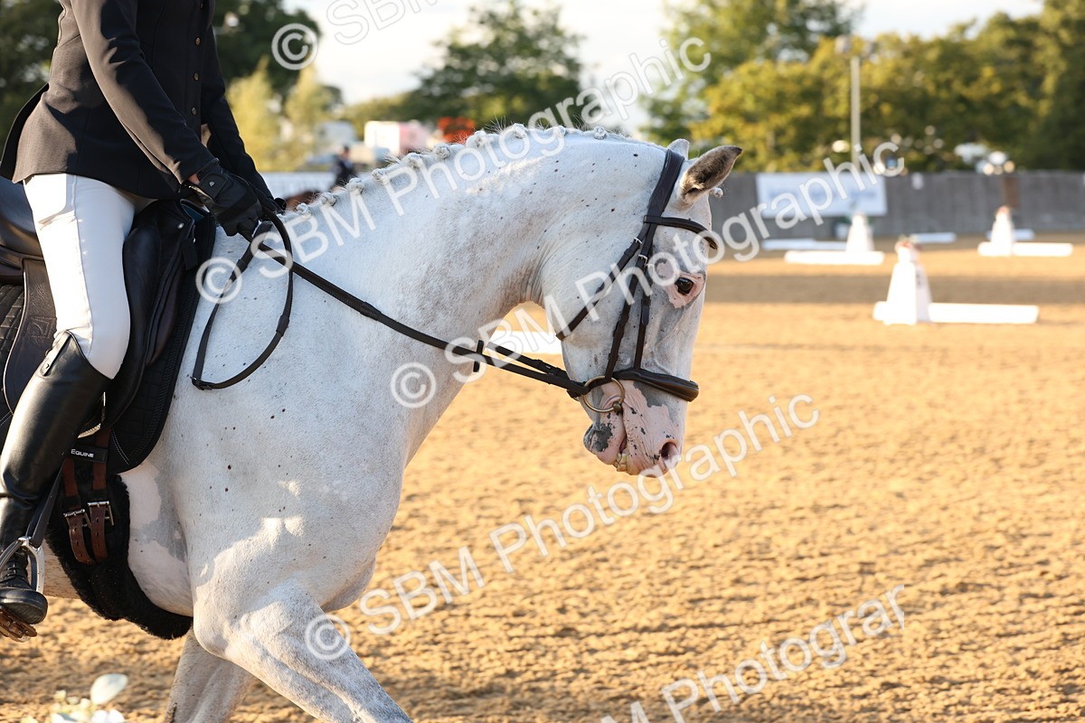 SBM_52969 - D12 - Small Tour Championship prelim 2