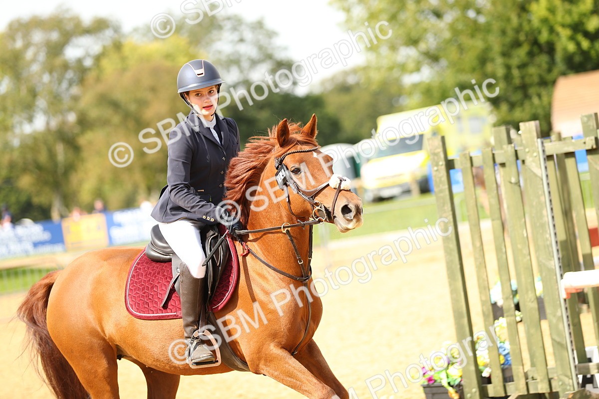 SBM_67108 - J17 - Junior Pony 80cm Championship