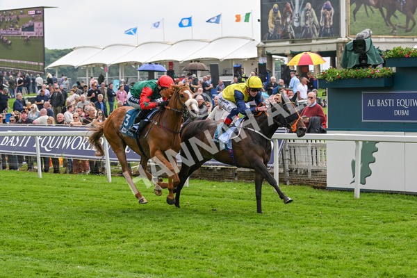 160524-Race 2-Point Lynas-5438 - Race 2 2.45pm Oakmere Homes Hambleton Handicap