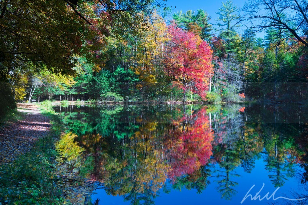 DSC_3954 - Autumn