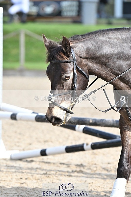 240413-091843-00239 - Cls 1+2 60cm