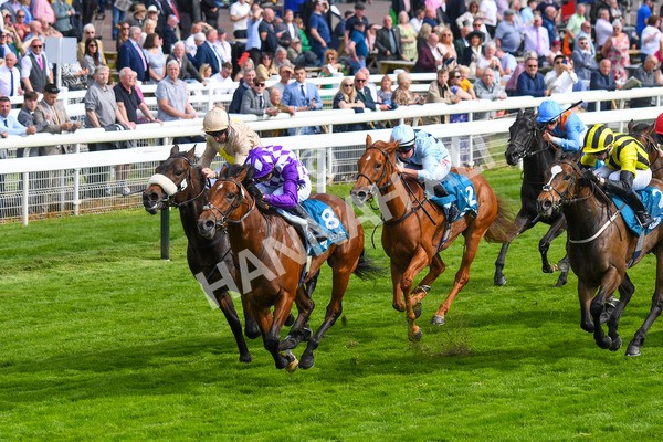 170523-Race 5-Dark Thirty-0696 - Race 5 4.10pm Conundrum HR Consulting Handicap