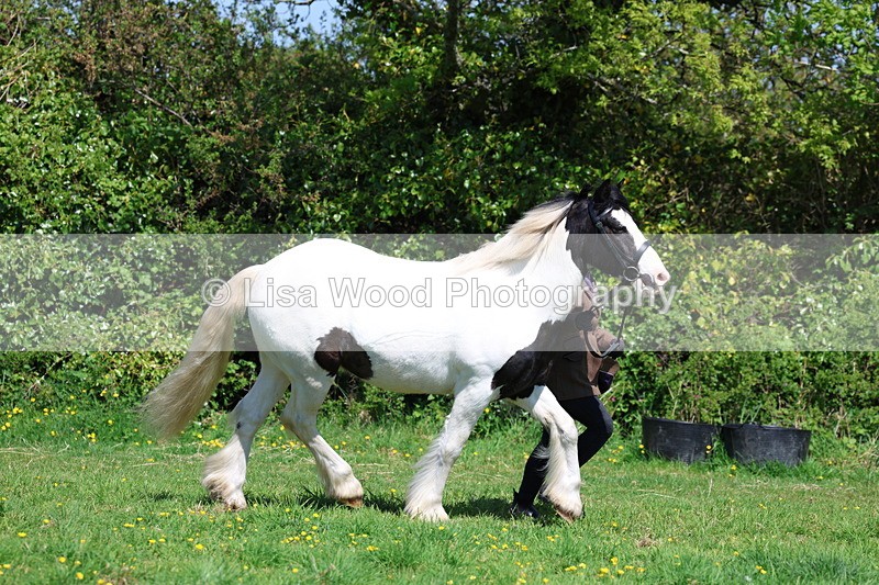 3E7A0263 - Class 19: Best Coloured in Hand