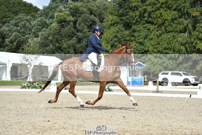 230812-154231-05178 - Cls 10 FEI Inter I Silver