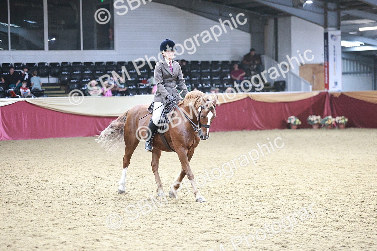 SBM_07126 - Class 10R - Regional Ridden Diamond