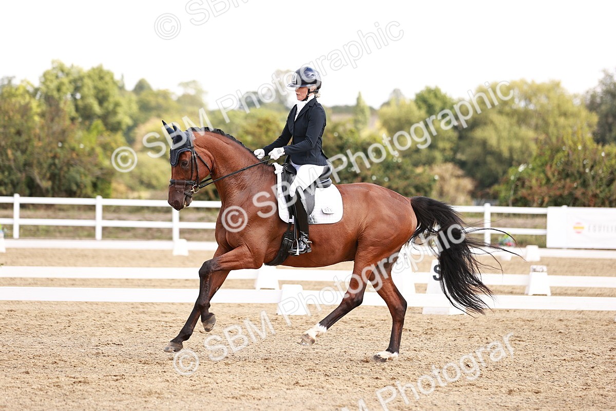 SBM_017661 - Class 11 - Advanced Medium 6