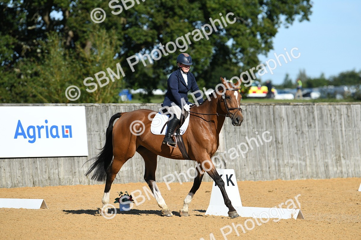 SBM_16224 - D4 - Small Tour Championship - Intro B