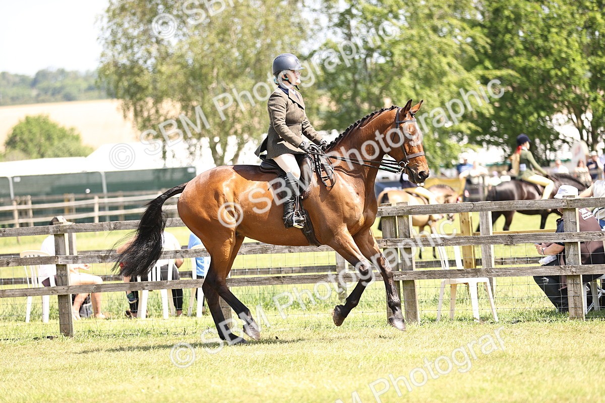 SBM_14861 - Class 78 - LIHS BSHA Open Racehorse & Show Horse