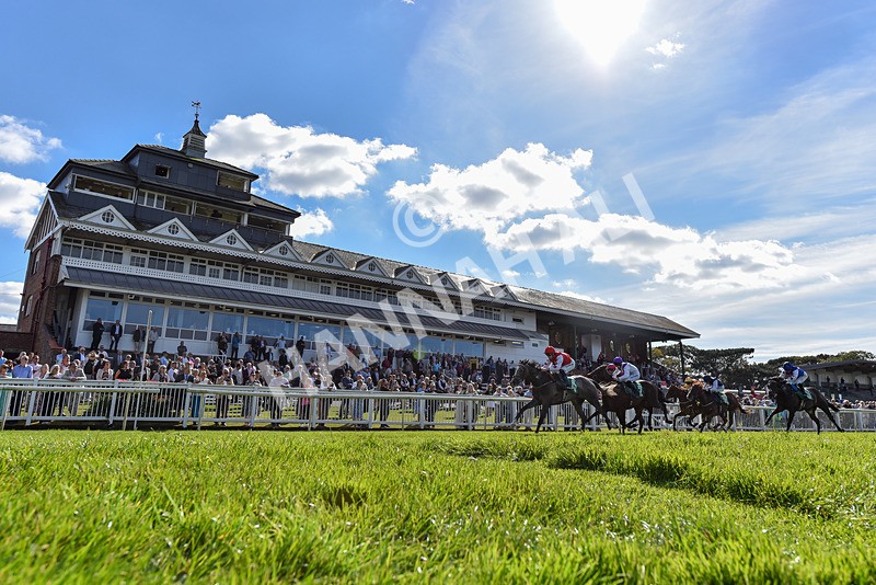 160924-Race 2-Magic Love-6492 - Race 2